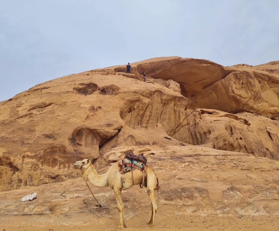 Wadi Rum Hugo Camp المظهر الخارجي الصورة