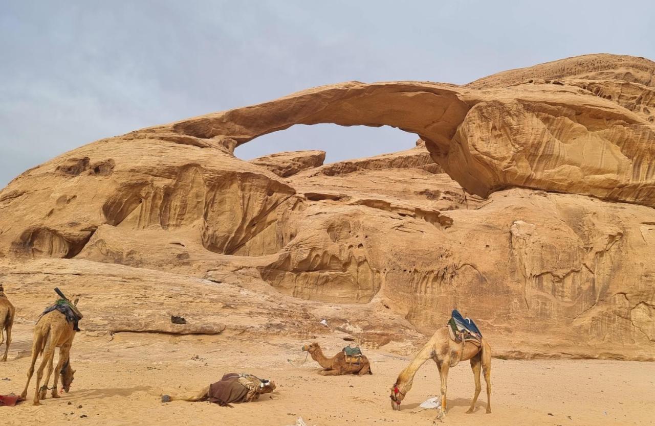 Wadi Rum Hugo Camp المظهر الخارجي الصورة